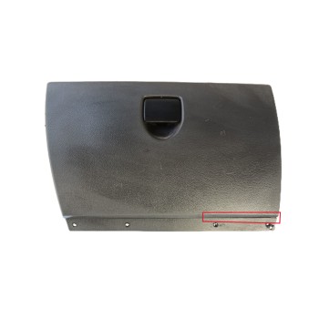 GUANTERA 6001548684 