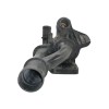 Recambio de termostato para citroën berlingo cuadro sx referencia OEM IAM 9660660380  042651