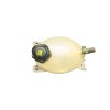 Recambio de deposito expansion para dacia sandero ii (b8_) tce 90 (b8m1, b8ma) referencia OEM IAM 217107259R 217107259R 