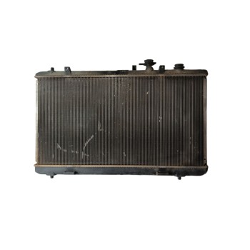 RADIADOR AGUA 1770079J00000 CZ42200094200S 0232309