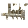 Recambio de rampa inyectora para renault vel satis (bj0) privilege referencia OEM IAM   