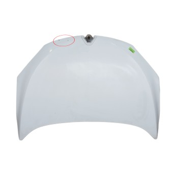 CAPOT DELANTERO 651009018R 