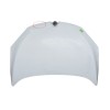 Recambio de capot delantero para renault megane iii hatchback (bz0/1_, b3_) 1.5 dci referencia OEM IAM 651009018R  