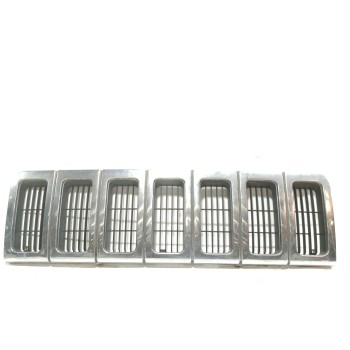 REJILLA DELANTERA 55055059 