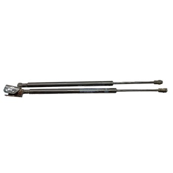 AMORTIGUADORES MALETERO / PORTON D10E62620 