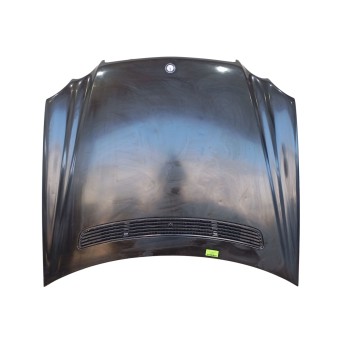 CAPOT DELANTERO 209880005728 