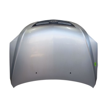 CAPOT DELANTERO 664003E310 