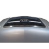 Recambio de capot delantero para kia sorento i (jc) 2.5 crdi referencia OEM IAM 664003E310  