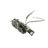 Recambio de cerradura puerta trasera derecha para citroën c3 feel referencia OEM IAM 16942941  