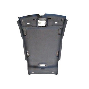 TECHO INTERIOR A24669010009F52 A2466900150