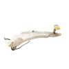 Recambio de deposito limpia para ford transit connect (tc7) kasten city light (2009) referencia OEM IAM 2T1417618AB  