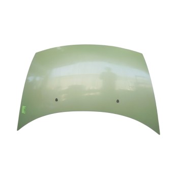CAPOT DELANTERO 7901K6 