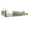 Recambio de amortiguador trasero izquierdo para volkswagen touareg (7l6) v6 tdi referencia OEM IAM 0296940  