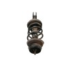 Recambio de amortiguador delantero izquierdo para nissan kubistar (x76) pro (l1) referencia OEM IAM 7700314021  03051000524