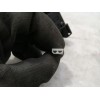 Recambio de mando intermitentes para nissan kubistar (x76) pro (l1) referencia OEM IAM 2554000QAE 34431618 
