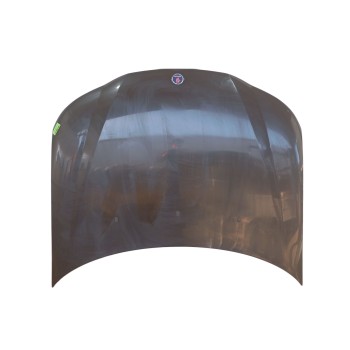 CAPOT DELANTERO 12770109 