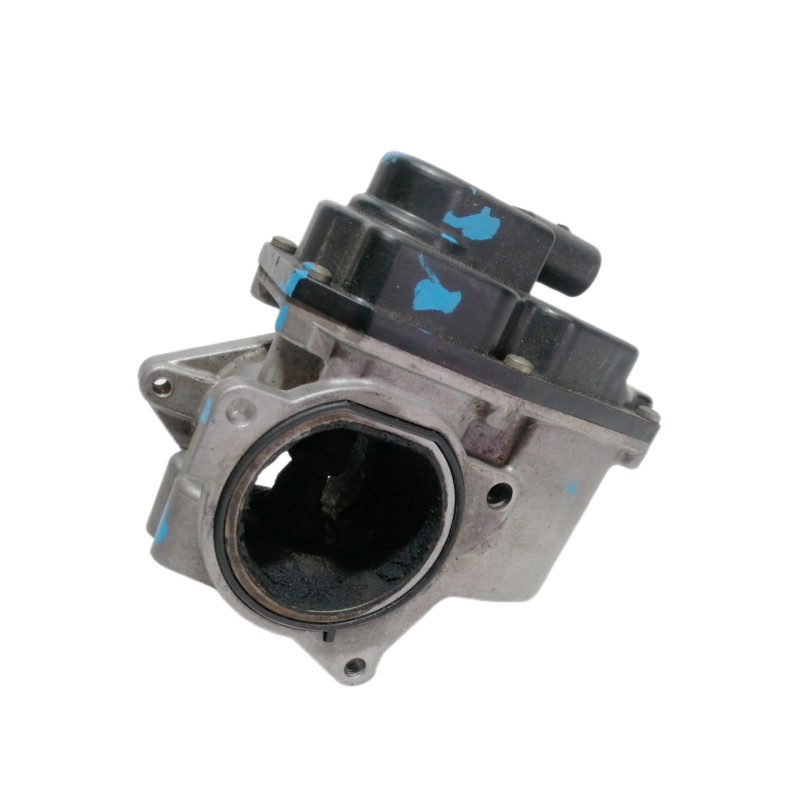 Recambio de valvula egr para volkswagen passat berlina (3c2) advance referencia OEM IAM 038131501AN VASV2900793 29640094