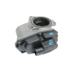 Recambio de valvula egr para volkswagen passat berlina (3c2) advance referencia OEM IAM 038131501AN VASV2900793 29640094