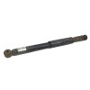 Recambio de amortiguador trasero derecho para renault modus dynamique referencia OEM IAM 8200846629  