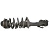 Recambio de amortiguador delantero derecho para seat ibiza (6k1) stella referencia OEM IAM 6K0413031G  31H9K3
