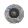 Recambio de piston para renault clio iii authentique referencia OEM IAM AE13060713B  