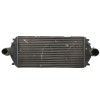 Recambio de intercooler para citroën jumpy 2.0 hdi furg. (774kg) referencia OEM IAM IM002 755216E 0811734 / 1472059080