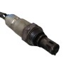 Recambio de sonda lambda para volkswagen golf vii lim. (bq1) advance referencia OEM IAM 4L906262AF  