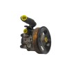 Recambio de bomba direccion para hyundai accent (lc) crdi gl referencia OEM IAM 5710025300  