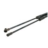 Recambio de amortiguadores maletero / porton para citroën c3 shine referencia OEM IAM 9813177780  