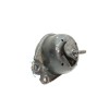Recambio de soporte motor para renault laguna ii (bg0) authentique referencia OEM IAM   