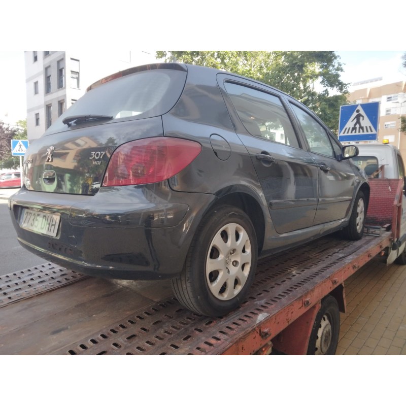PEUGEOT 307 (S1)