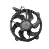 Recambio de electroventilador para citroën c4 coupe vtr plus referencia OEM IAM 1253A9  