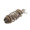 Recambio de amortiguador delantero derecho para toyota yaris 1.0 cat referencia OEM IAM 485100D170  