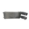 Recambio de intercooler para peugeot 307 berlina (s2) x-line referencia OEM IAM 9648551880 876923J IA1401