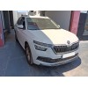 skoda kamiq (nw4) del año 2024