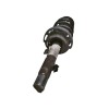 Recambio de amortiguador delantero izquierdo para citroën c3 lx referencia OEM IAM 9672655480  2224709 153101645