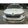 skoda kamiq (nw4) del año 2024