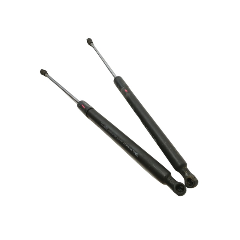 Recambio de amortiguadores maletero / porton para renault clio iii authentique referencia OEM IAM 8200299546  