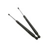 Recambio de amortiguadores maletero / porton para renault clio iii authentique referencia OEM IAM 8200299546  