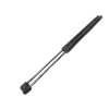 Recambio de amortiguadores maletero / porton para ford focus lim. (cb8) trend referencia OEM IAM BM51N406A10AC  