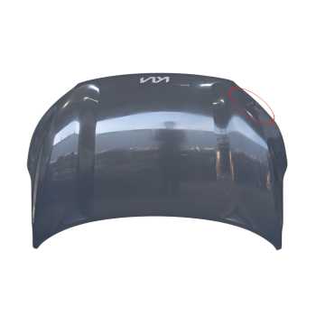 CAPOT DELANTERO 66400H8430 