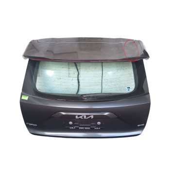 PORTON TRASERO 9811028780 
