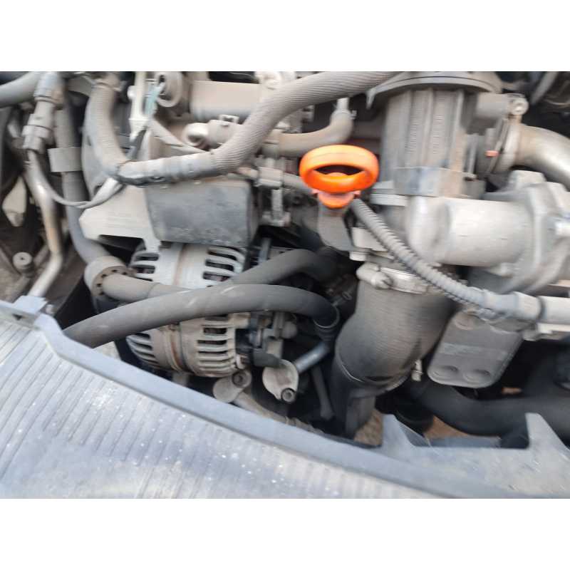 Recambio de alternador para seat ibiza iv (6j5, 6p1) 1.6 tdi referencia OEM IAM 045903023A / VERE8411  