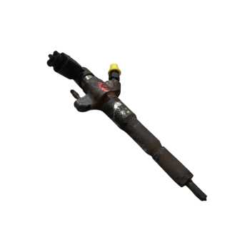 INYECTOR 166093282R HMLGT5164R 166000372R