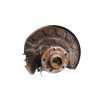Recambio de mangueta delantera derecha para seat leon (5f1) 1.4 tsi referencia OEM IAM 5WA407256  