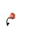 Recambio de enganche cinturon delantero izquierdo para jaguar xe (x760) 2.0 d referencia OEM IAM   
