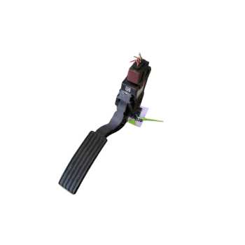 PEDAL ACELERADOR F01R00X165 