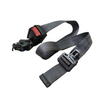 ENGANCHE CINTURON TRASERO CENTRAL 7700411080 03179895713M 