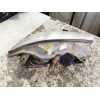 Recambio de faro izquierdo para chrysler 300m (lr) 2.7 v6 24v referencia OEM IAM 04780003AD  