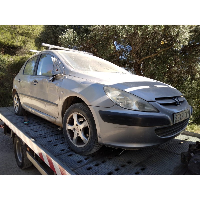 PEUGEOT 307 (S1)